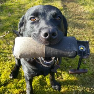 Jagtnørd - Hedehusene - UDSOLGT!