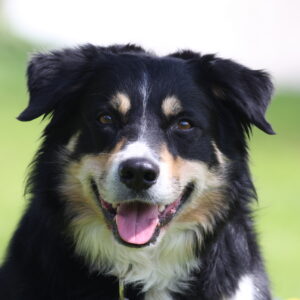 Lær at bruge din intuition - marts 26 Sjælland