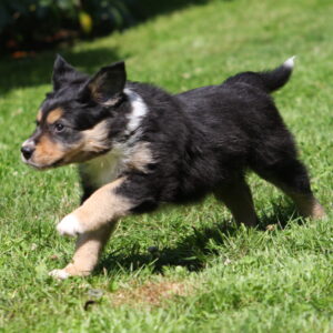 Heldagsworkshop om stress